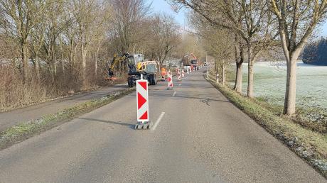 Seit Montag wird die Hecke an der Kreisstraße zwischen Geltendorf und Eresing gerodet, um Platz für den Straßenausbau zu schaffen. Eine Ersatzhecke wurde bereits im vergangenen Jahr gepflanzt.