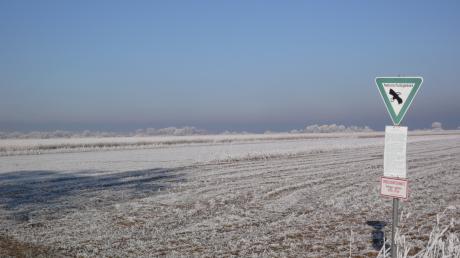 Im Winter durch das Naturschutzgebiet Ammersee-Südufer zu streifen, ist ein ganz besonderes Erlebnis. 