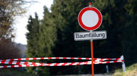 Für Gehölzarbeiten werden im Kreis Günzburg Straßen gesperrt. 