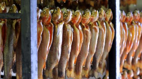 Der Fisch wird immer beliebter, auch im Kreis Dillingen. Ob kalt oder warm geräuchert, mit oder ohne Panade: Die Nachfragen bei Züchtern und Gastronomen steigen. 