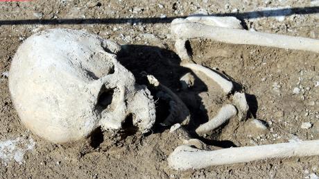 Im Baugebiet "An der Leite" gruben Archäologen vor einigen Jahren mehr als 60 Skelette aus. Diese liefern nun neue Erkenntnisse.