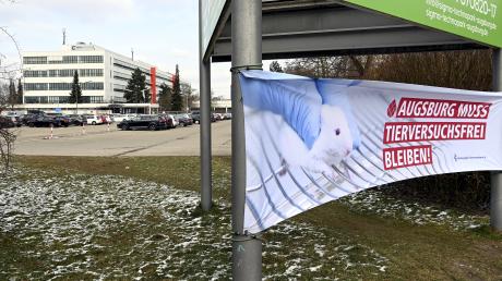 Die Protestaktion gegen Tierversuche an der Uni Augsburg hat mehr als 40.000 Unterschriften gesammelt. Diese sollen nun im Landtag übergeben werden.