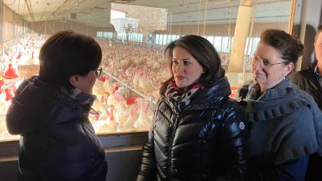 Landwirtschaftsministerin Michaela Kaniber (Mitte) besuchte gemeinsam mit Landesbäuerin Christine Singer (r.) den Putenmastbetrieb von Kreisbäuerin Sabine Asum (l.). 