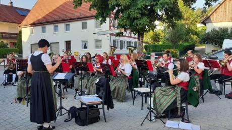 Die Musikerinnen und Musiker aus Edelstetten sind Ausrichter des Bezirksmusikfests für das Jahr 2023.