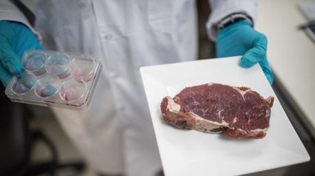 In vielen Ländern wird an Fleisch aus dem Labor geforscht – auch in Bayern.