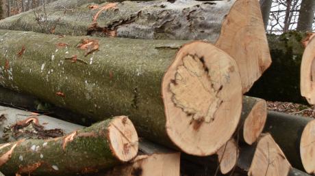 Aus dem Wald zwischen Schweinspoint und Gansheim haben Unbekannte eine größere Menge Holz gestohlen.