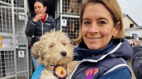 Sandra Baumeister gründete den Verein Ein Herz für Streuner und hilft Hunden in Rumänien.