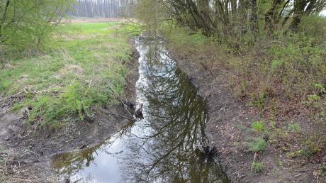 Der stellenweise schnurgerade fließende Landgraben soll von Verrohrungen
befreit und einen natürlicheren Bachlauf bekommen. Bei den Wasenlöchern ist das teils schon der Fall.  