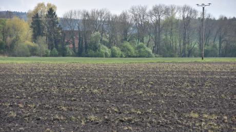Auf diesen landwirtschaftlichen Flächen nahe der Haunzenmühle (im Hintergrund) wollen die Gemeinde Huisheim und drei Investoren aus der Region einen Solarpark errichten.