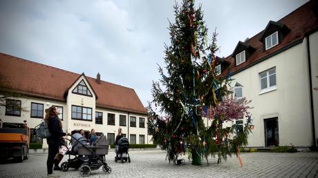 Statt des klassischen Maibaums steht auf dem Pfaffenhofener Marktplatz nun ein Weihnachtsbaum. 
