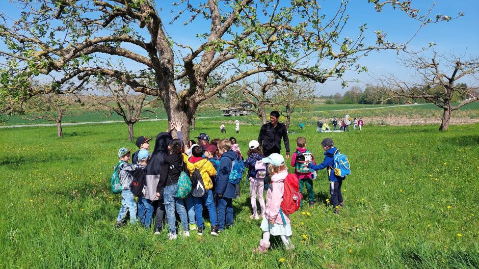 Schon an der Rinde kann man den Baum ziemlich genau erfühlen. Baumexperte Andreas Brummer begleitete die Kinder.