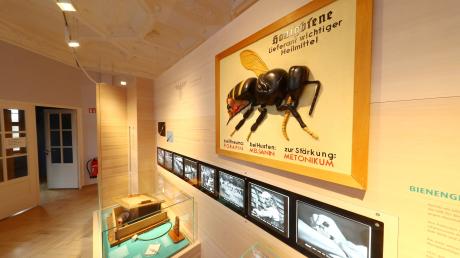Im Bienenmuseum in Illertissen erfahren Jung und Alt allerhand süßes Wissen um die Honigbiene.