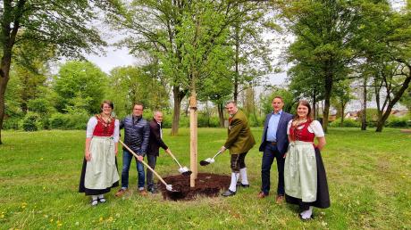 Sie pflanzten ein Baum für die Zukunft im Schnellepark (von links): Annika Engelniederhammer, Rainer Hönl, Roman Schnalzger, Bernd Pfab, Dieter Nägele und Tanja Weiss.