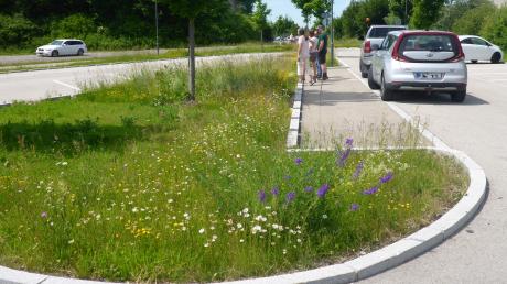 Kommunale Blühflächen, wie hier am Parkplatz Bahnhof St. Afra in Mering, sollen einen Beitrag zur Erhöhung der Biodiversität leisten.