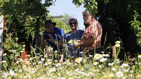 Hermann Stickroth (rechts) präsentiert der Augsburger LBV-Jury (Renate Winkler und Paul Schmuck) seinen Garten. Es geht um die Auszeichnung "Vogelfreundlicher Garten".