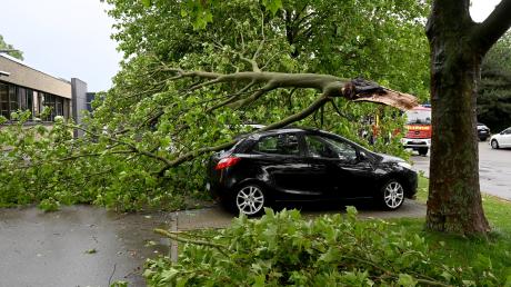 In Schwaighofen krachte ein Baum auf vier geparkte Autos. Es entstand ein Schaden in fünfstelliger Höhe.
