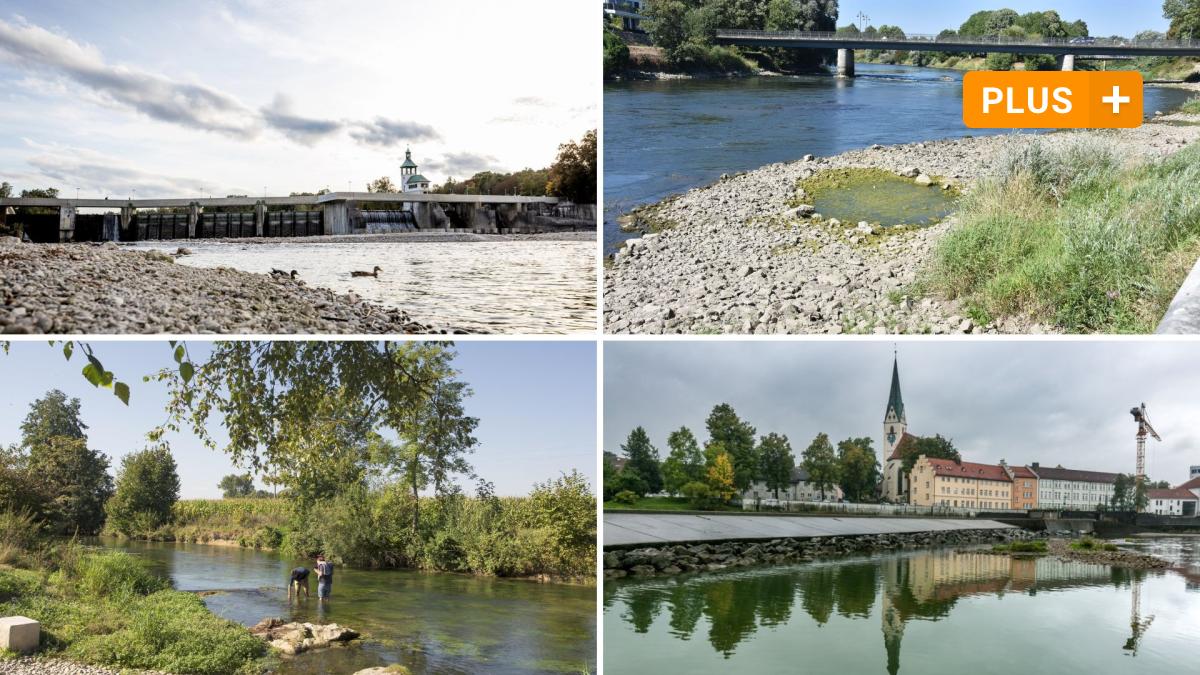 #Die Gewässer in Bayern werden immer wärmer – mit Folgen für Menschen und Fische