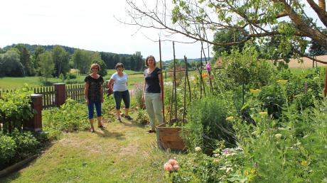 Die Dasinger Gärtner, hier Christine Ruckdeschel, Ulrike Böhm und Lucia Martin, haben ein neues Projekt.