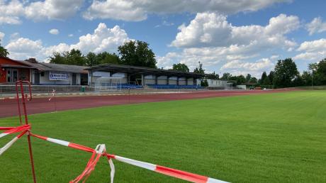 Der Austausch des Stadionrasens in Bad Wörishofen hatte zuletzt für Diskussionen gesorgt. 