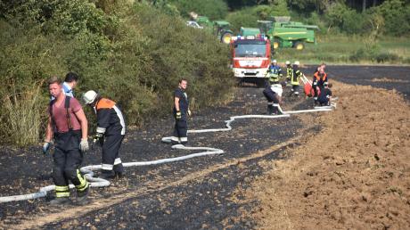 Direkt am Harthof (Stadt Harburg) hat am Montagnachmittag ein Getreidefeld gebrannt. Links im Bild: die Hecke, die gerettet werden konnte.