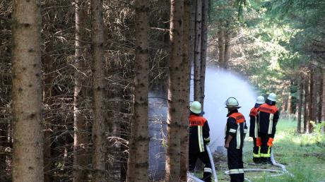 Waldbrand-Übung: Bevor die Bekämpfung eines Waldbrandes beginnen kann, muss das Zusammenspiel aller Einsatzkräfte, vom Luftbeobachter über die Leitstelle und die einzelnen Einheiten und im Bedarfsfall auch mit den unterstützenden  Landwirten funktionieren.
