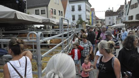 Mensch trifft Tier: Beim Viehmarkt in Monheim waren morgens schon viele Besucher unterwegs.