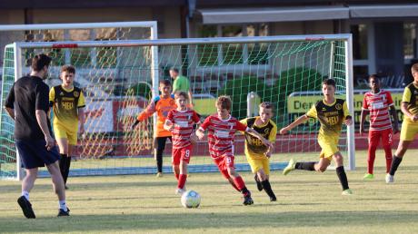 Die U12 des FC Augsburg (rote Trikots, hier im Spiel gegen den TSV Mindelheim I) gewann das D-Jugend-Turnier im Rahmen des 3. Getränke-Hell-Sommercups in Mindelheim.