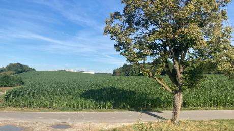 Eine etwa sieben Hektar große Ackerfläche soll nördlich der A96 bei Greifenberg ebenfalls gewerblich bebaut werden.