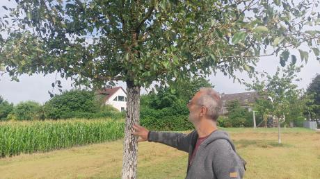 Harald Sandner macht derzeit eine Ausbildung zum Obstbaumwart, um sich noch mehr Wissen rund um die Anpflanzung und Pflege von Obstbäumen anzueignen.