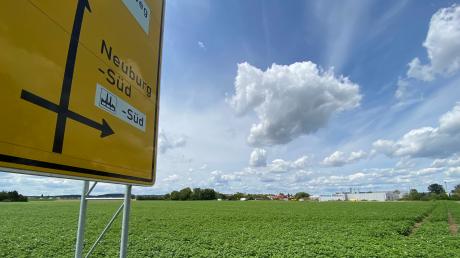 Neuburg braucht Flächen, um Gewerbe anzusiedeln. Hier in Neuburg-Süd wachsen derzeit Kartoffeln, doch in zwei bis drei Jahren könnte hier ein Gewerbegebiet entstehen. 