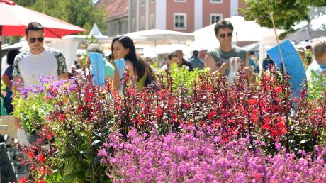 Die Gartenmesse Diga macht aus dem Klosterhof ein Blütenmeer.