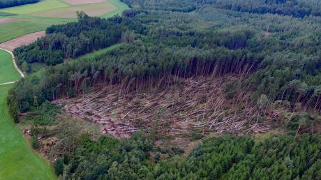 In Fremdingen wurden bei dem Unwetter viele Bäume zerstört. 