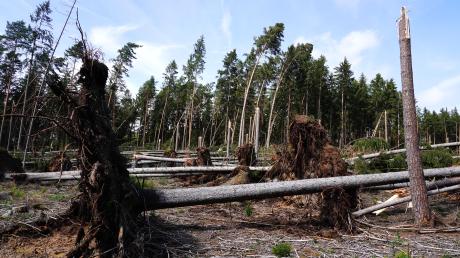 Ein Unwetter wütete vergangenen Sommer in und um Oettingen. In der Gemeinde Fremdingen knickten Bäume einfach ab oder entwurzelten.