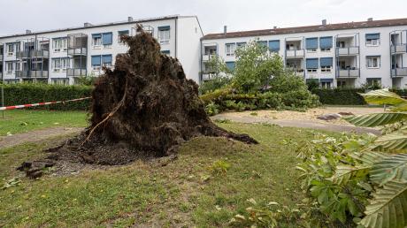 Der Sturm, der bei dem schweren Gewitter aufzog, entwurzelte auch einen Baum in der Josef-Haas-Straße im Textilviertel. Er schlug auf einem Spielplatz ein.