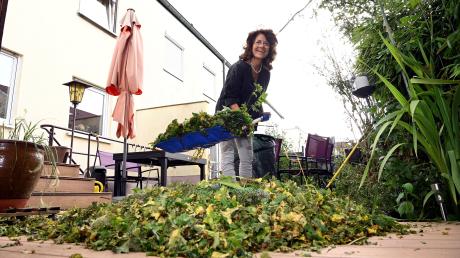 Entlaubte Bäume und zerfetzte Blumen: Der Hagelschauer während des Unwetters vergangenen Samstag hat Stadträtin Margarete Heinrich und ihrer Nachbarschaft viel Grüngut beschert.