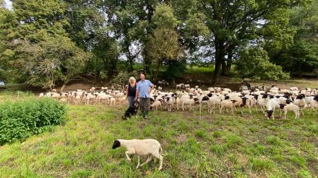 Ida und Manfred Geier haben über mehrere Jahrzehnte ihre Schafe gehegt und gepflegt. Jetzt sind die beiden innerhalb weniger Tage verstorben.
