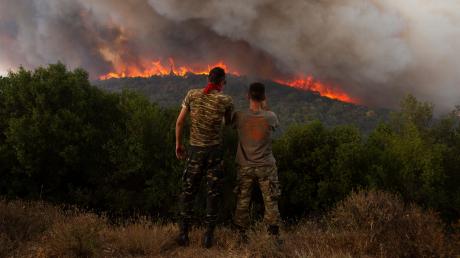 Rund 73.000 Hektar sind in Griechenland durch die größten Brände der EU-Geschichte bereits verbrannt. 