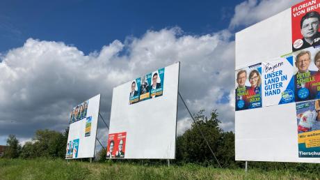 Auch Stellwände – hier im Landkreis Donau-Ries – werden für den Straßenwahlkampf genutzt.