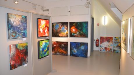 Noch bis zum 24. September sind die Werke von Brigitte Zimmerer im Wassertrüdinger Museum Fluvius zu sehen.