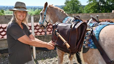 Tina Boche legt Bueno, einem Argentinischem Ranchpferd, den Packsattel an. Auf ihrer Säumer-Akademie in Markt bildet sie Mensch und Tier aus.