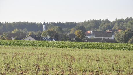 Druisheim, ein Ortsteil von Mertingen, ist am Waldrand gelegen. Die Einwohner wehren sich heftig gegen eine mögliche Windkraftanlage im Mertinger Forst.