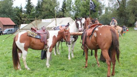 Nach zehn Jahren findet am Samstag, 23. September, wieder ein spezielles Pferderennen über 400 Meter auf den Mooswiesen in Grafertshofen statt. 