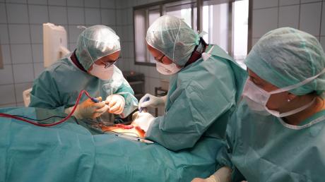 Die Stiftungsklinik Weißenhorn ist erneut als Lokales Trauma Zentrum für die Versorgung Schwerverletzter zertifiziert worden.