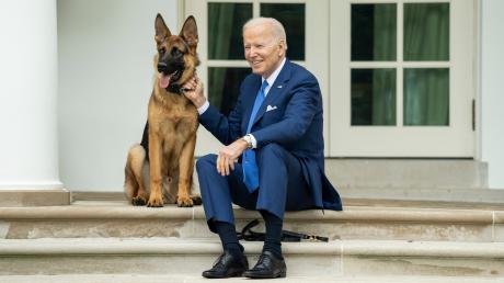 So vertraut sitzen US-Präsident Joe Biden und sein Hund "Commander" nun wohl erst einmal nicht mehr vor dem Weißen Haus.