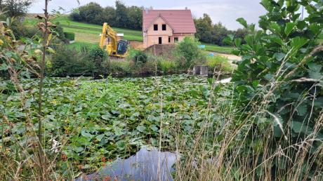 Für das Baugebiet im Monheimer Stadtteil Kölburg soll dieser Löschweiher verfüllt werden.
