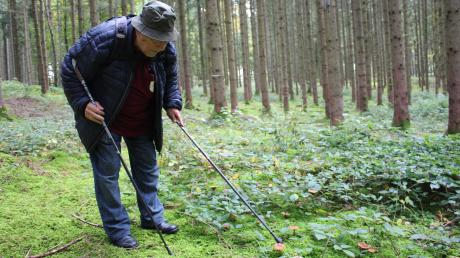 Günther Groß vom Pilzverein Augsburg Königsbrunn erklärt auf Exkursionen immer wieder, was es beim Sammeln von Pilzen zu beachten gilt.