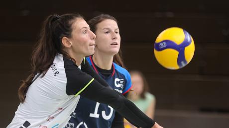 Auswärts weiterhin stark: Theresa Müller (vorne) und die Volleyballerinnen der DJK Augsburg-Hochzoll kamen beim VCO Olympia Dresden zu einem 3:1-Erfolg. 