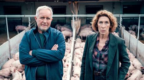 Moritz Eisner (Harald Krassnitzer) und Bibi Fellner (Adele Neuhauser): Szene aus dem Tatort heute aus Wien ("Bauernsterben").