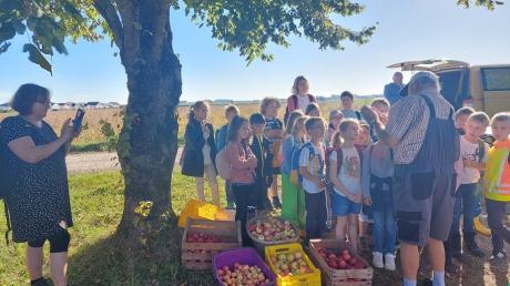 Die Schulkinder der 2. Klasse freuen sich mit ihrer Lehrerin Eva Müller auf das Apfelpressen. Günther Paa vom Bund Naturschutz begleitet sie dabei.