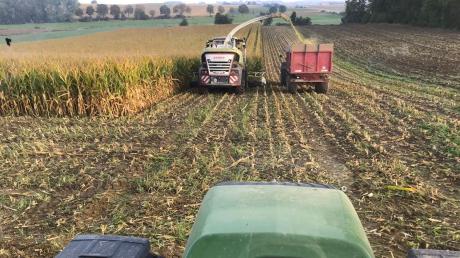 Blick aus der Traktorkabine von Landwirt Karlheinz Götz - die Ernte fiel dieses Jahr durchwachsen aus, doch der BBV erklärt auch, dass die Region glimpflich davongekommen sei.
